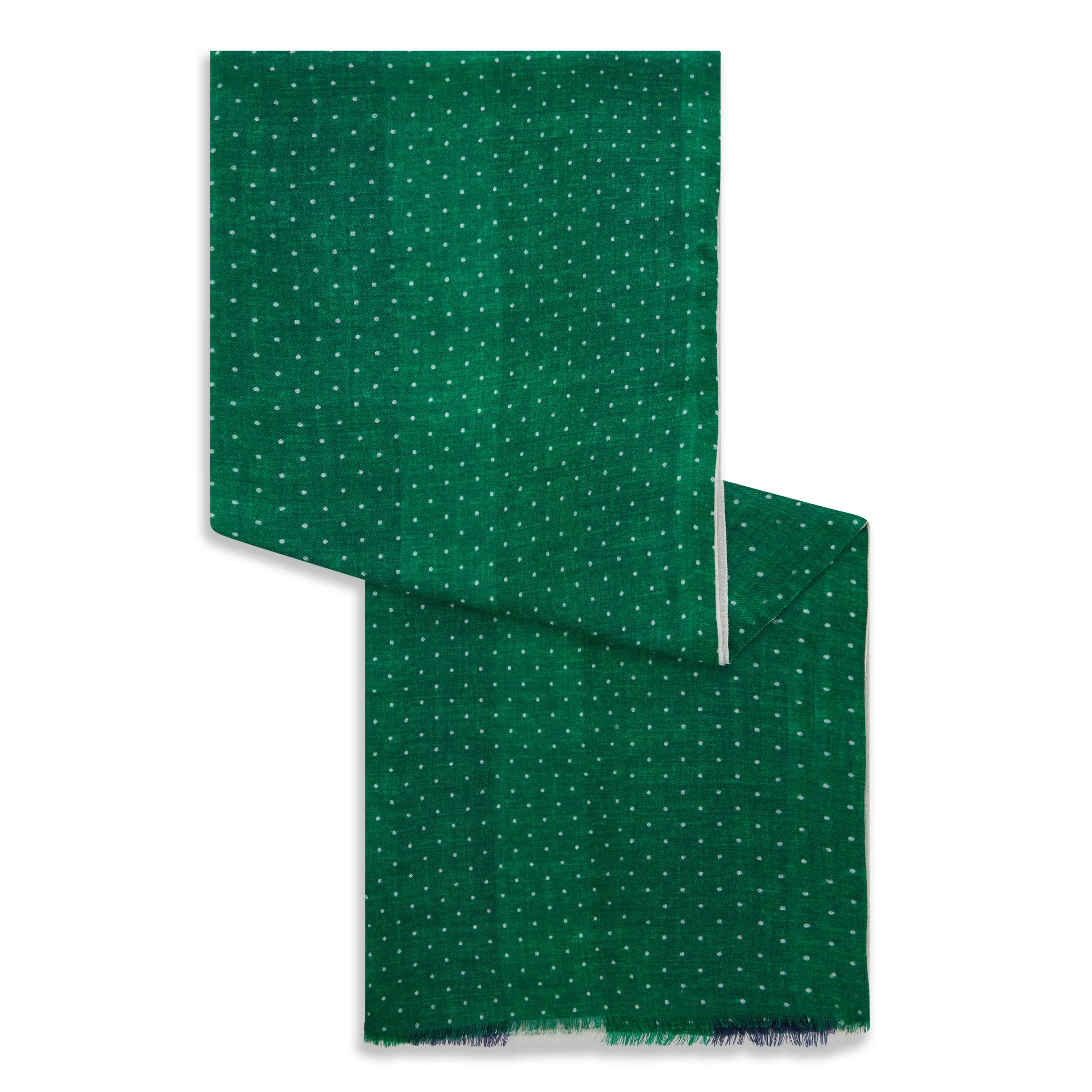 Green Spot Stripe Reversible Wool Silk Cashmere Scarf - Image 2